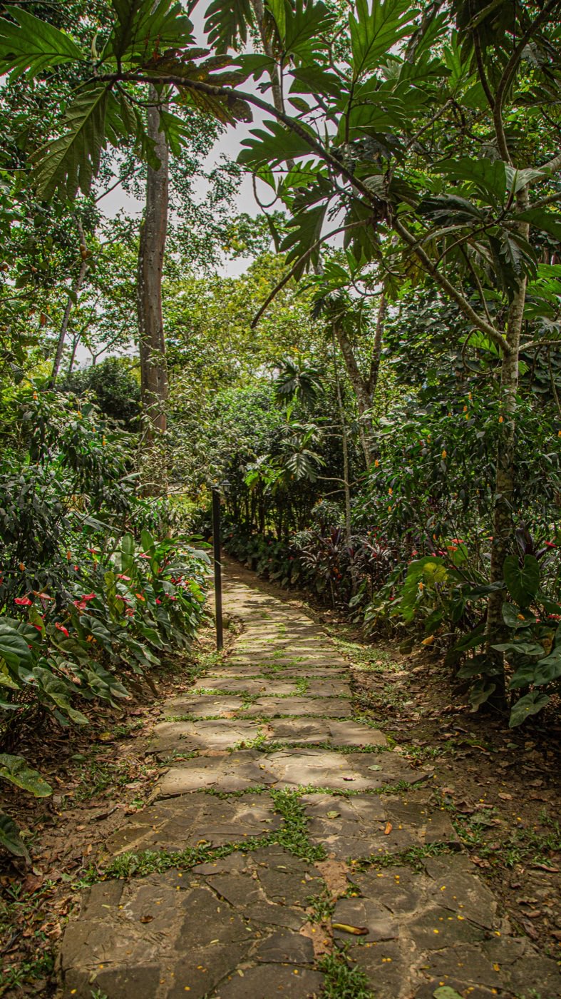 Tropical garden at Kantu Garden Lodge in Moyobamba, Peru